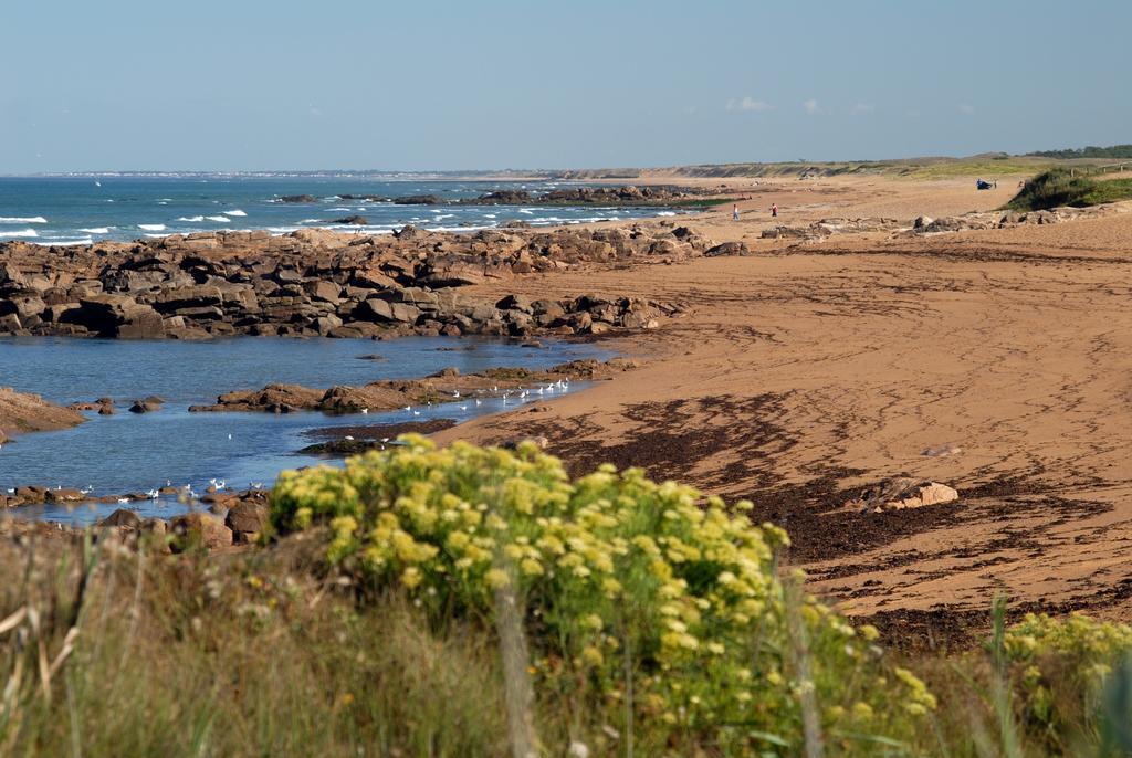 Vacanceole - Les Jardins De L'Amiraute Les Sables-dʼOlonne Dış mekan fotoğraf